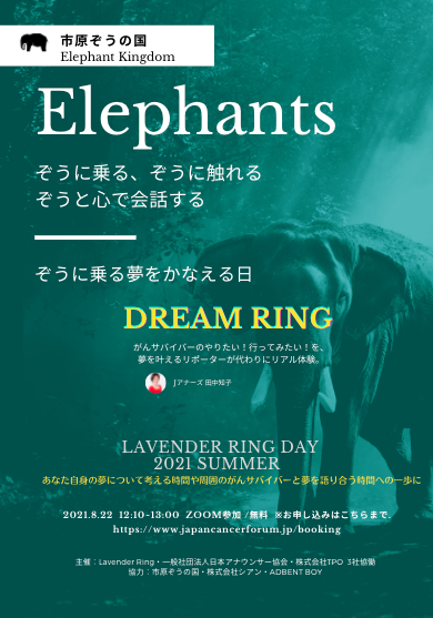 社会貢献活動のご報告：「DREAM RING」プロジェクトの具体的取り組みとご参加お申し込み受付について